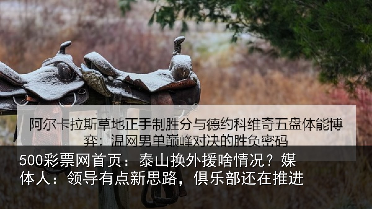 500彩票网首页：泰山换外援啥情况？媒体人：领导有点新思路，俱乐部还在推进
